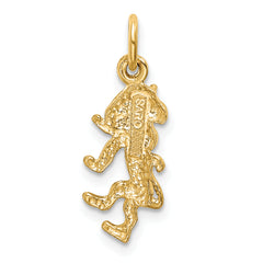 10k Leo Zodiac Charm