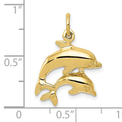 10k Dolphin Charm