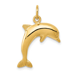 10k Dolphin Charm