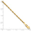 2.0mm 10K Yellow Gold Diamond-Cut Lightweight Rope Chain - Sophia Jewelers