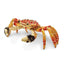 Luxury Giftware Pewter Bejeweled Crystals Gold-tone Enameled MOVABLE CRABULOUS Red Orange Crab Trinket Box with Matching 18 Inch Necklace