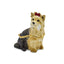 Kimberly Yorkshire Terrier Trinket Box in Pewter - Sophia Jewelers