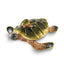 Luxury Giftware by Jere Bejeweled MIDORI AND UMI Turtle Family Trinket Box with Matching 18 inch Necklace