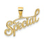 "Special" Word Charm in 14K Yellow Gold, 20mm Textured - Sophia Jewelers