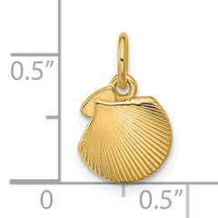 14K Polished Textured Seashell Pendant