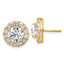 14k 5 carat Lab Grown Diamond VS+ F+ Round Complete Halo Post Earrings