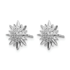 14k White Gold Diamond Fancy Sun/Star Earrings