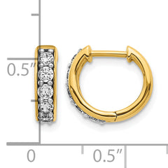 14k 1/2 carat Lab Grown Diamond VS/SI+ G+ Complete Hinged Hoop Earrings