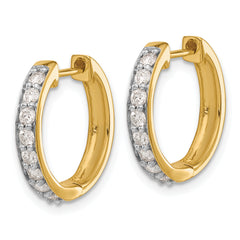14k 1/2 carat Lab Grown Diamond VS/SI+ G+ Complete Hinged Hoop Earrings