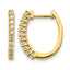 14k 1/3 carat Lab Grown Diamond VS/SI+ G+ Complete Hinged Hoop Earrings