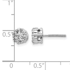 14k White Gold 5/8 carat Lab Grown Diamond VS/SI+ G+ Screwback Cluster Post Earrings