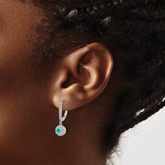 Pure Serenity 14k White Gold 1/4 carat Lab Grown Diamond VS/SI+ G+ and Lab Created Paraiba Leverback Dangle Earrings