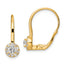 14k 3/4 carat Lab Grown Diamond VS/SI+ G+ Complete Drop Leverback Earrings