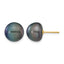 14K Gold Filled 10-11mm Black Button Cultured Freshwater Pearl Stud Earrings by Sophia Jewelers