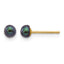 14K Gold Filled 3-4mm Black Button Cultured Freshwater Pearl Stud Earrings by Sophia Jewelers