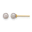14K Gold Filled 3-4mm Grey Round Cultured Freshwater Pearl Stud Earrings by Sophia Jewelers