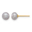 14K Gold Filled 5-6mm Grey Button Cultured Freshwater Pearl Stud Earrings by Sophia Jewelers