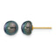 14K Gold Filled 7-8mm Black Button Cultured Freshwater Pearl Stud Earrings by Sophia Jewelers