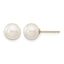 14K Gold Filled 7-8mm White Round Cultured Freshwater Pearl Stud Earrings by Sophia Jewelers
