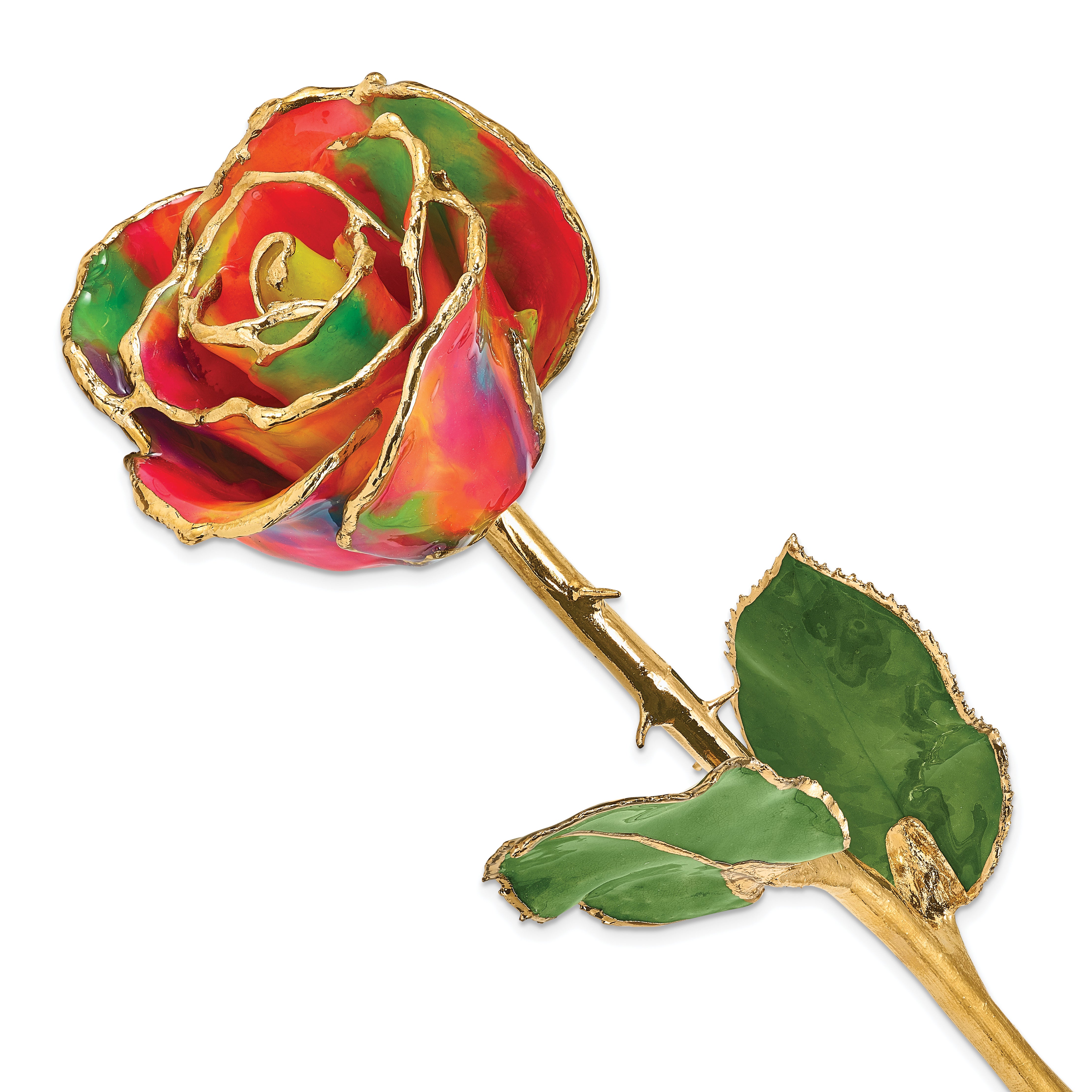 Lacquer Dipped Gold Trimmed Aurora Neon Rainbow Real Rose