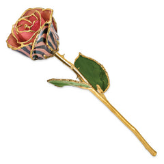 Lacquer Dipped Gold Trimmed Pink and Black Chameleon Real Rose