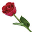Red Lacquer Dipped Natural Rose with Green Leaves and Stem