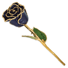 Lacquer Dipped 24k Gold Trimmed Twilight Pearl Real Rose