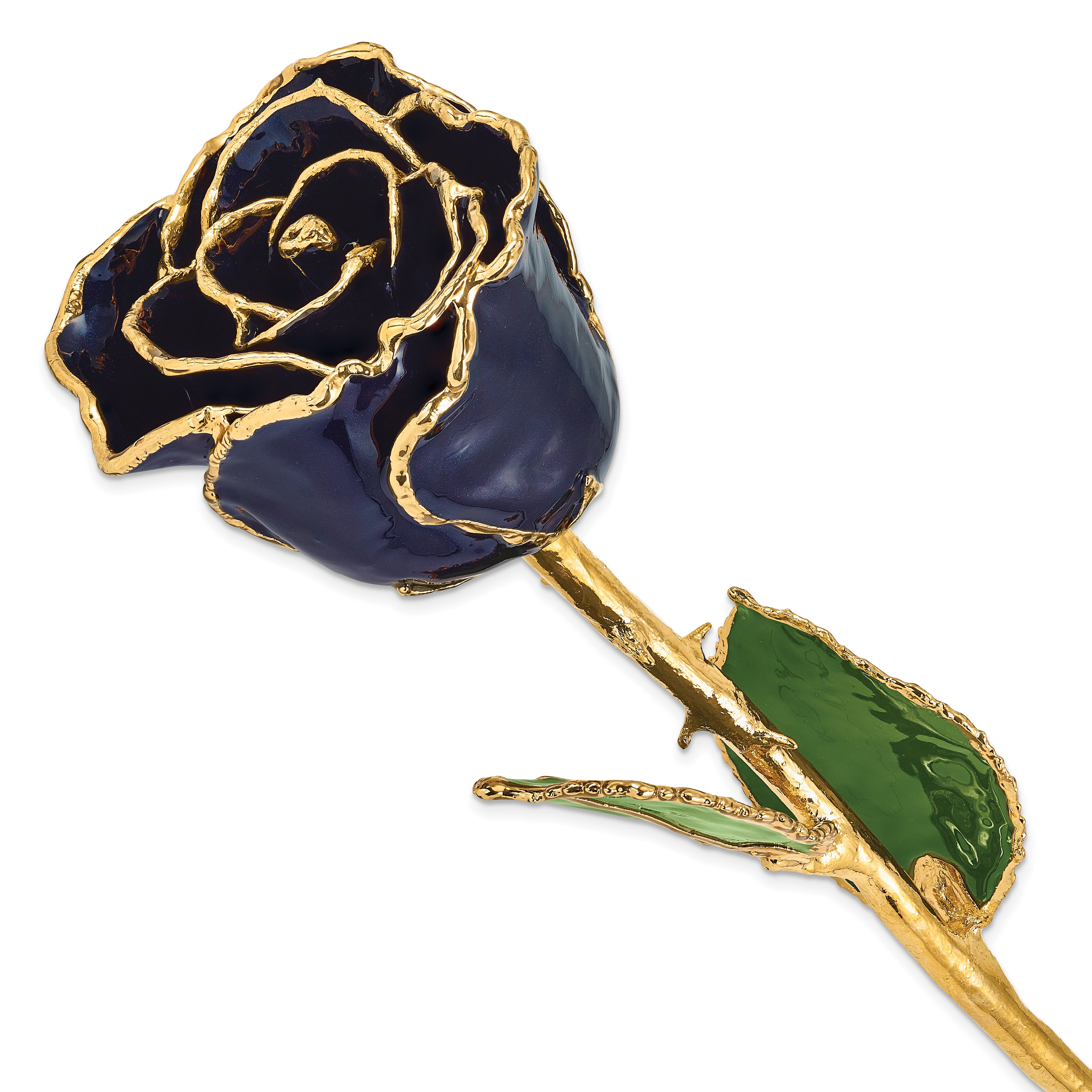 Lacquer Dipped 24k Gold Trimmed Twilight Pearl Real Rose