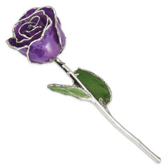 Lilac Lacquer Dipped Silver Trimmed Real Rose