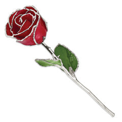 Red Lacquer Dipped Silver Trimmed Real Rose