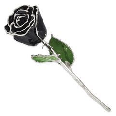 Black Lacquer Dipped Silver Trimmed Real Rose