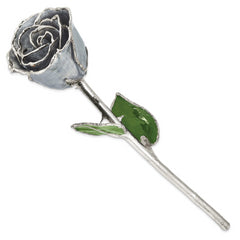 Silver Moonstone Lacquer Dipped Silver Trimmed Real Rose