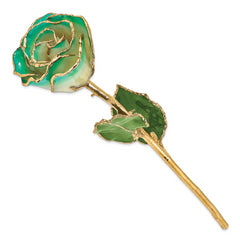 Lacquer Dipped Gold Trimmed White/Turquoise Green Real Rose