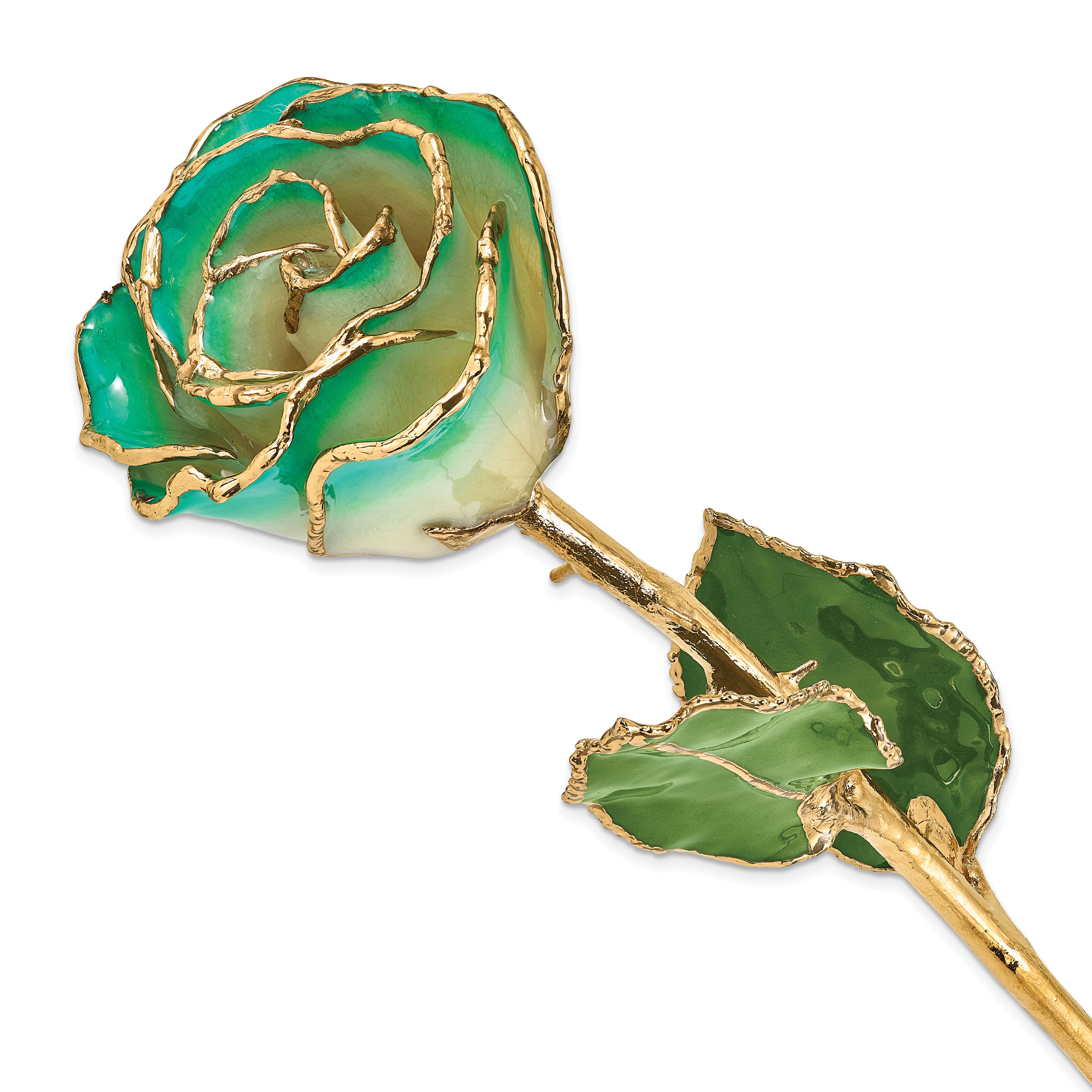 Lacquer Dipped Gold Trimmed White/Turquoise Green Real Rose