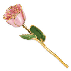 Lacquer Dipped Gold Trimmed Pink Pearl Real Rose
