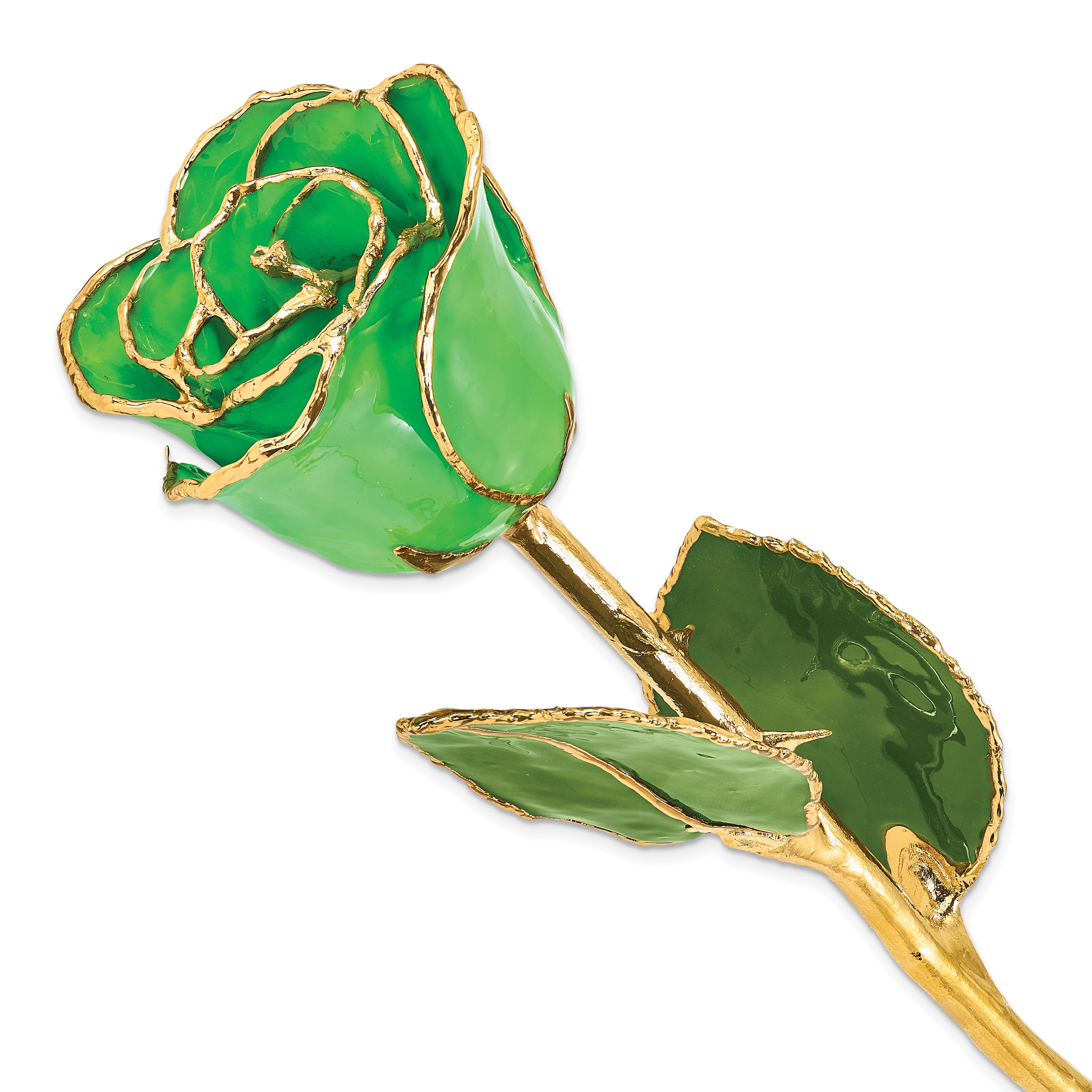 Lacquer Dipped Gold Trimmed Geo Green Real Rose