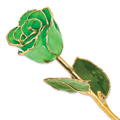 Lacquer Dipped Gold Trimmed Geo Green Real Rose