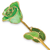 Peridot Green Lacquer Dipped Gold Trimmed with Glitter Real Rose