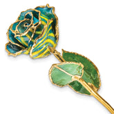 Lacquer Dipped Gold Trimmed Yellow and Blue Zebra Real Rose