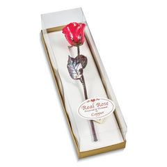 Red Lacquer Dipped Copper Trimmed Real Rose