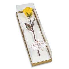 Yellow Lacquer Dipped Copper Trimmed Real Rose