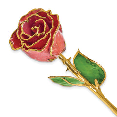 Lacquer Dipped Gold Trim Sonia Pearl Rose with Silver Sparkles