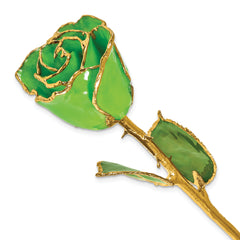 Lacquer Dipped Gold Trim August Birthstone Tourmaline Rose