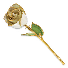 Lacquer Dipped Gold Trim June Birthstone Opal Pearl Rose