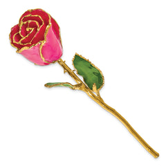 Lacquer Dipped Gold Trim October Birthstone Tourmaline Rose