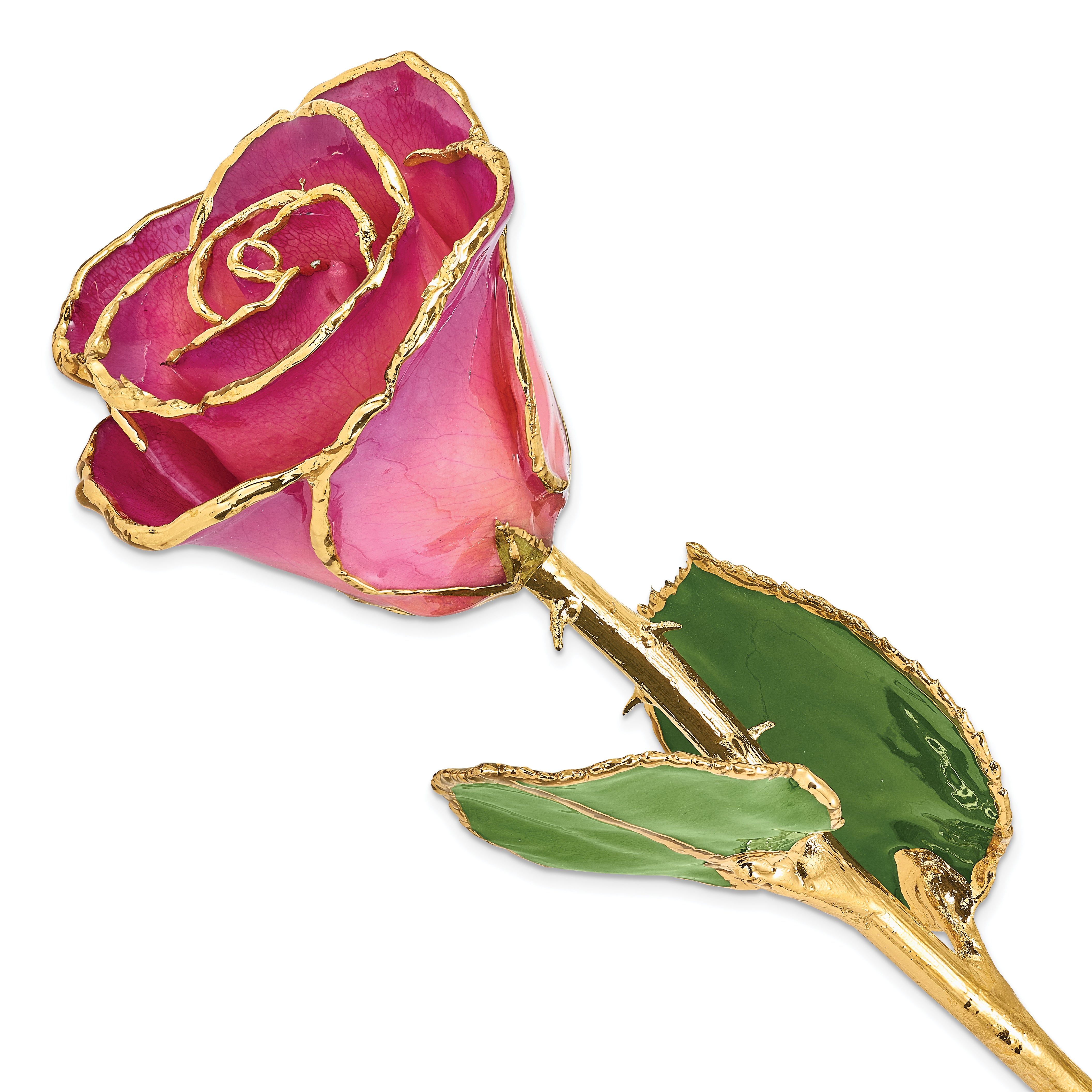 Lacquer Dipped Gold Trimmed Pink Picasso Real Rose