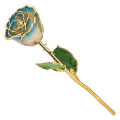 Lacquer Dipped Gold Trimmed White and Navy Blue Pearl Real Rose
