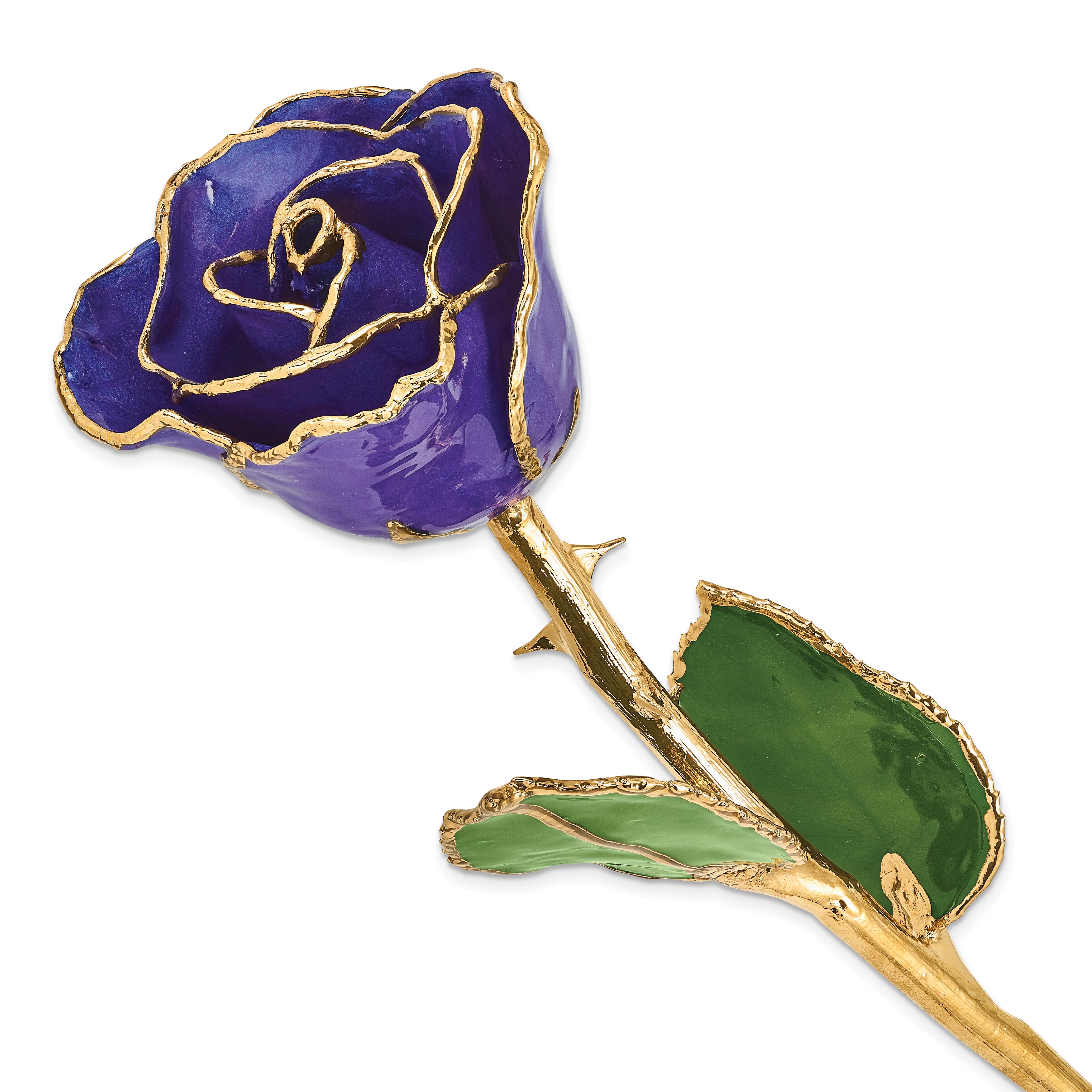 Lacquer Dipped Gold Trimmed Blue Violet Pearl Real Rose