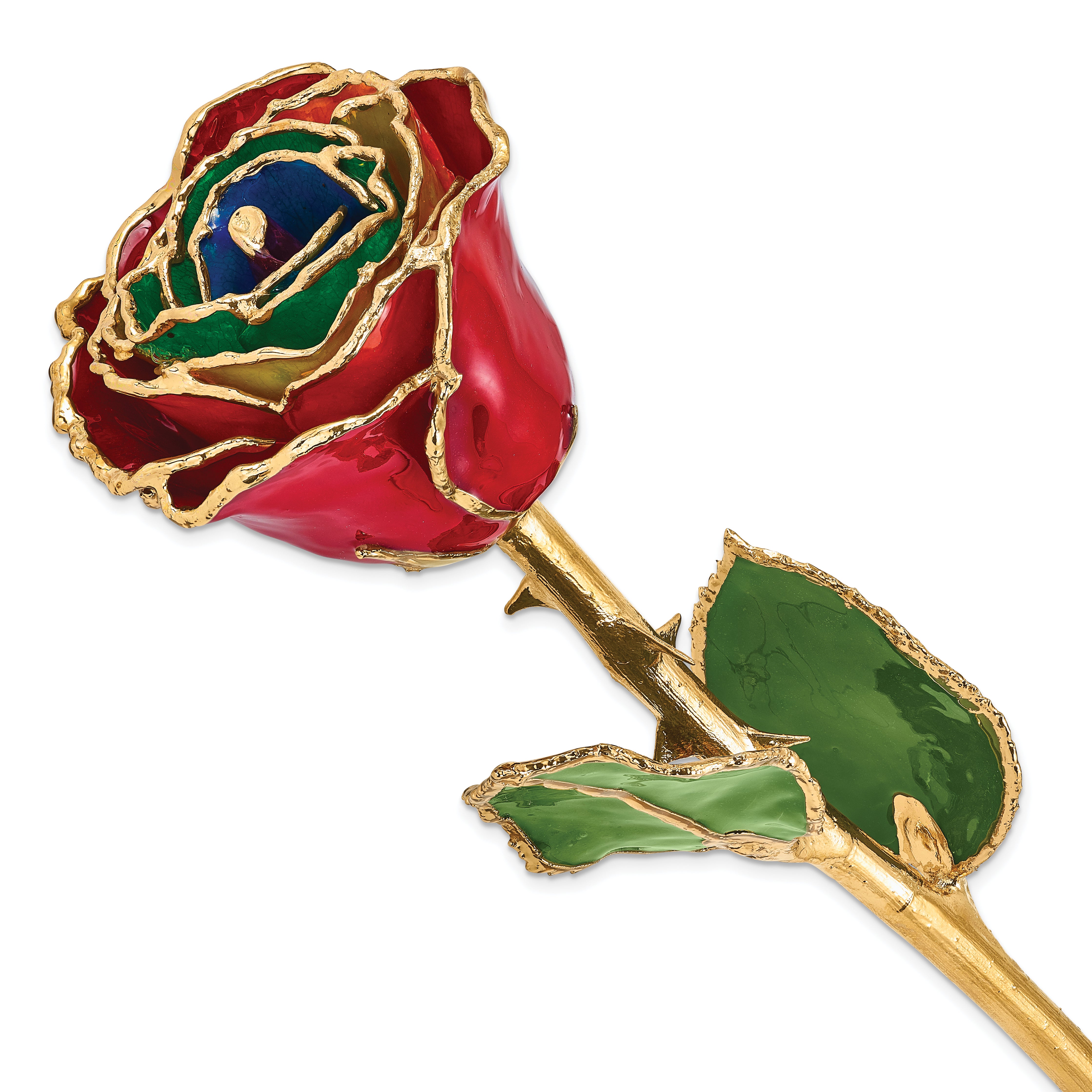 Lacquer Dipped Gold Trimmed Gypsy Rainbow Real Rose