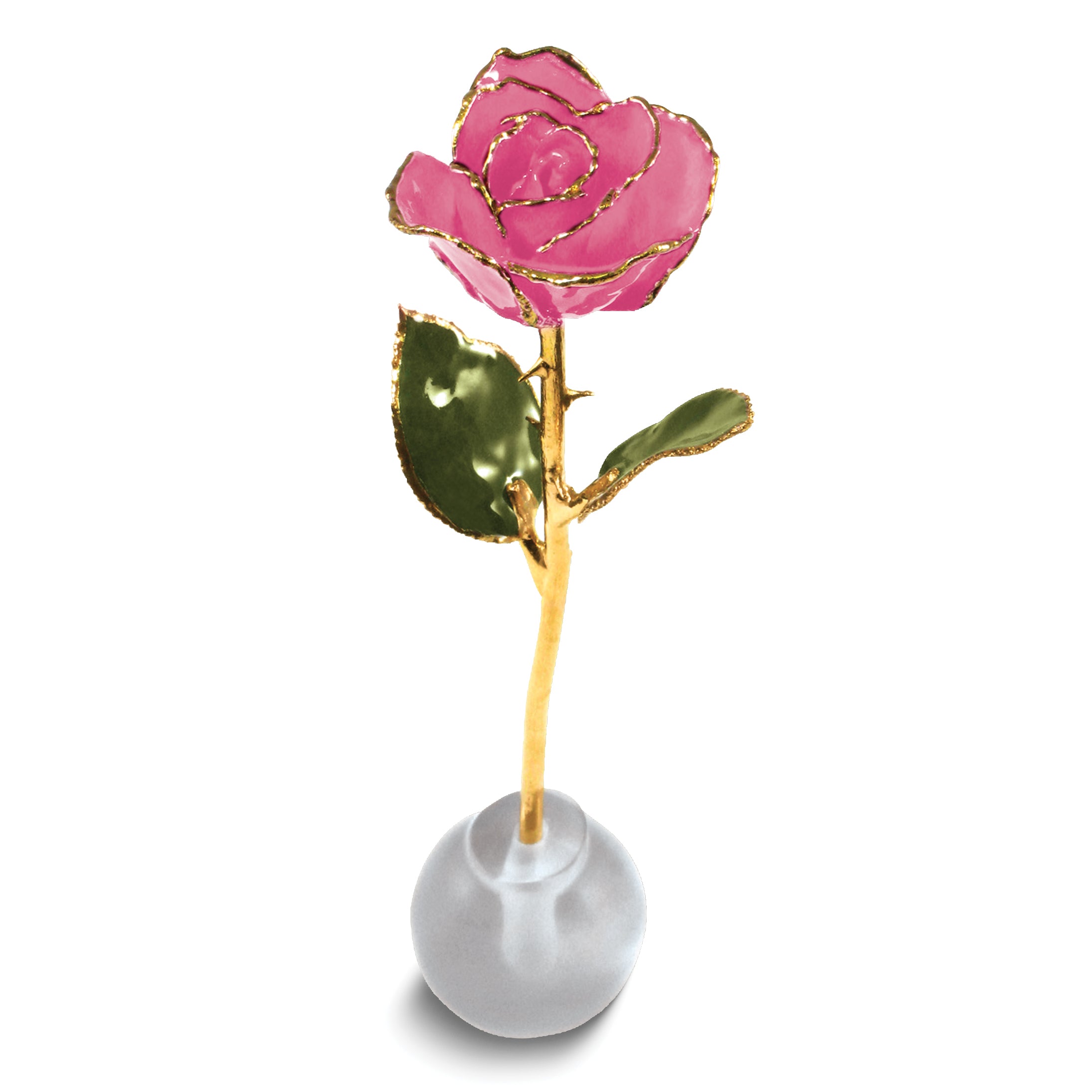Lacquer Dipped Gold Trimmed Knob Stand Pink Real Spring Rose Set